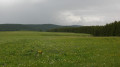 Vers le domaine du sauvage