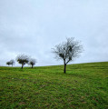 Vers le grand Souillet Vers le grand Souillet