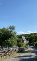 Circuit découverte des arbres, arbustes, arbrisseaux à Espédaillac