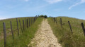 Vers le Mont Peyroux