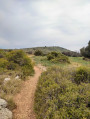 Vers le Mont-Saint Bauzille