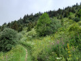 Vers le Pas de bellecombe