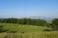 Vers le Var