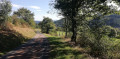 Boucle dans la forêt de Foupeysson au pied du Mont Pinay