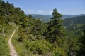 versant sud , chaleur