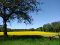 Vert, bleu, jaune