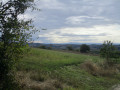 Vert et gris