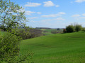 Vert printemps