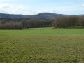 Vertes prairies beaujolaises Vertes prairies beaujolaises