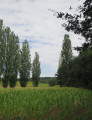 Verticales et horizontales Verticales et horizontales