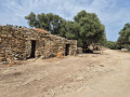 Vestige habitation