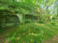 Vestiges d'habitations troglodytiques