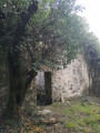 Vestiges d'un vieux mas