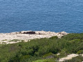 Remains of the cable car