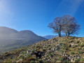 Vezzani vu de Castelnuovo