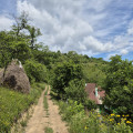 Via Transilvanica