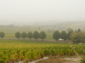 Viaduc dans la brume