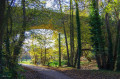Viaduc de l'ancienne ligne de chemin de fer: Caen  Vire