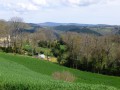 Vialelles