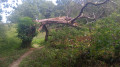 Vallée du Hâvre entre Oudon et le Haut Vieux Couffé