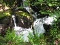Vieux moulin