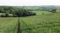 View across Lilley valley