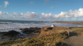 View across the dunes towards Godrevy lighthouse