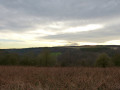 View across the vale from Griff Lodge