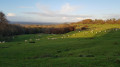 View at the top of Dover's Hill