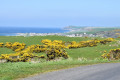 View down to Ballantrae