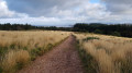 Wootton Courtenay and Timberscombe from Dunster