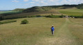 View from Pitstone Hill towards Ashridge and Ivinghoe Beacon