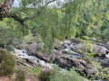 View from the side of Rogie falls