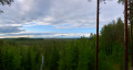 View from the top of the wooden observatory tower