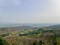 View from the tower