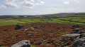 Mount's view from Rosewall Hill