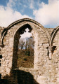 View of Cocken Woods in Winter from Finchale Priory