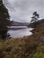 Loch Trool
