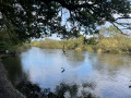 View of River Eamont