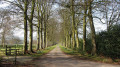 View of the avenue from Boswells Farm on the Ridgeway