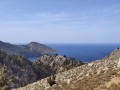 View of the bay on the hike