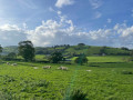 View of the countryside
