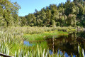 View of the lake