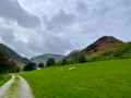 View of the valley and farm