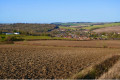 From Gillards Copse to Thornhill Copse via Ox Wood, Lambourn Valley Walks