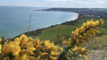 View on Swanage