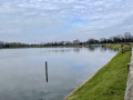 Earlswood Lakes, Terry's Pool and Clowes Wood