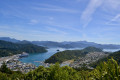 Tirohanga Track, Queen Charlotte Sounds viewpoint, Picton