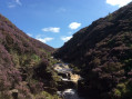 View up the waterfalls