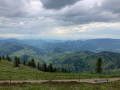 View View